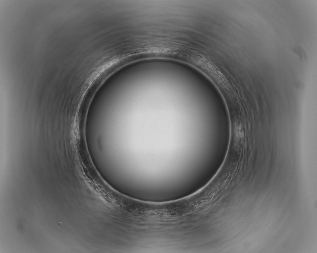 X0000112820628200908211206