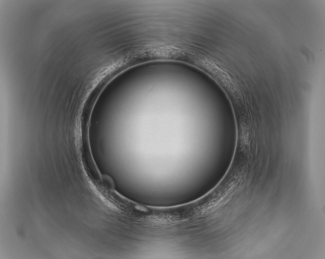 X0000112820630200908211206