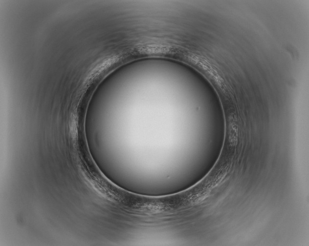 X0000112820631200908211206