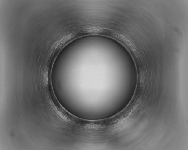 X0000112820633200908211206
