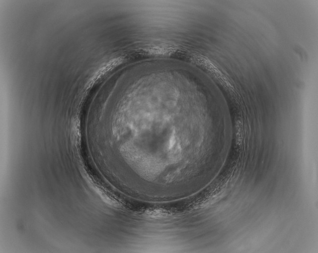 X0000112820634200908211206