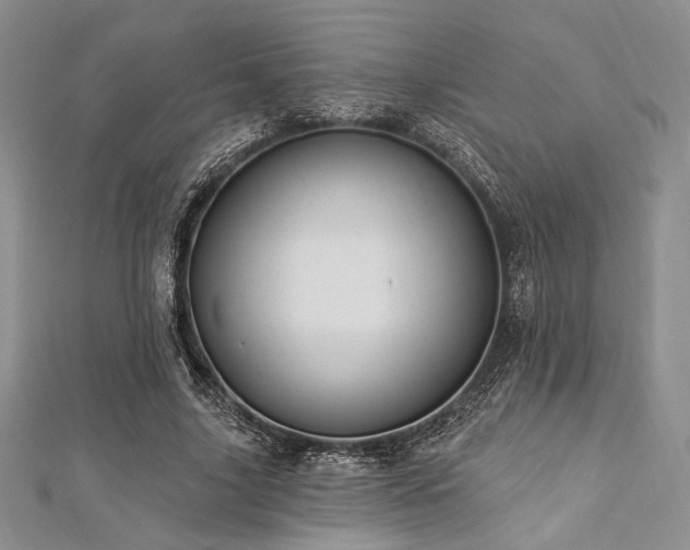 X0000112820635200908211206