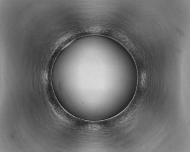 X0000112820636200908211206