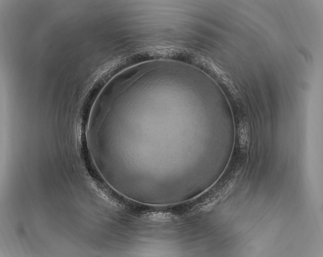X0000112820637200908211206