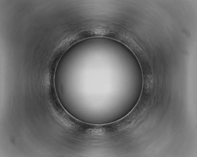 X0000112820639200908211206