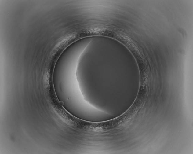 X0000112820640200908211206