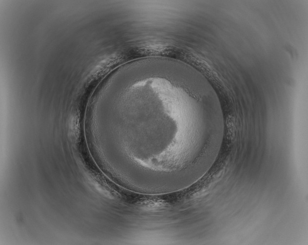 X0000112820642200908211206