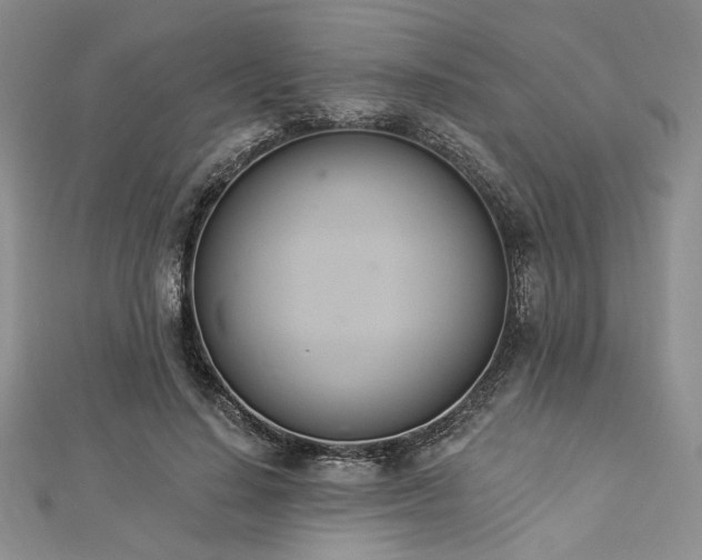 X0000112820644200908211206