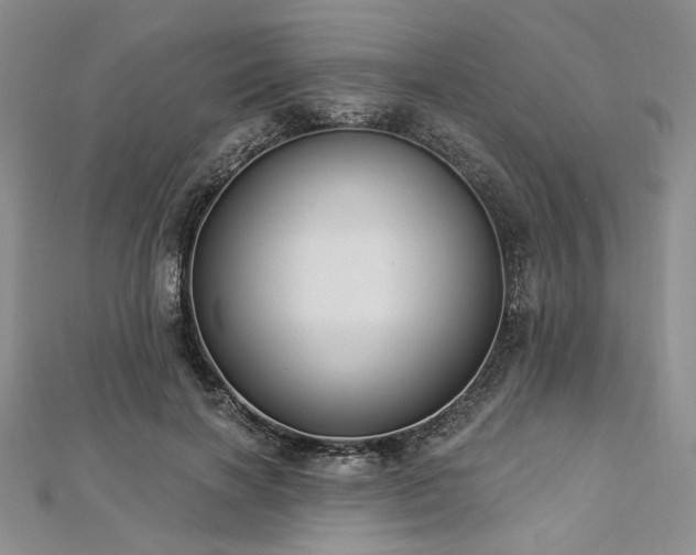 X0000112820646200908211206
