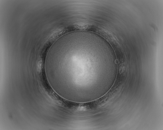 X0000112820647200908211206