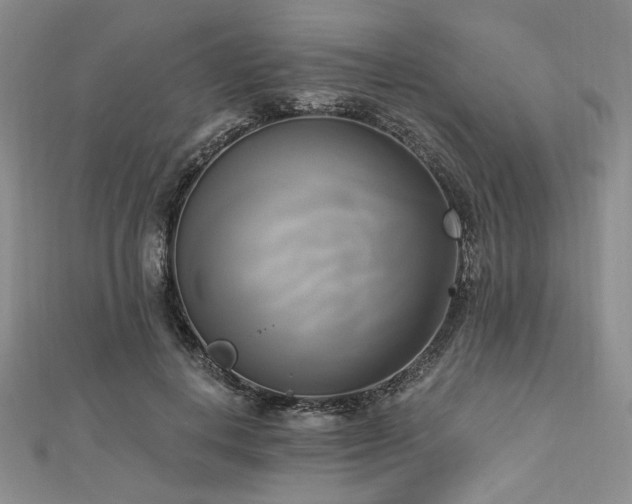 X0000112820648200908211206