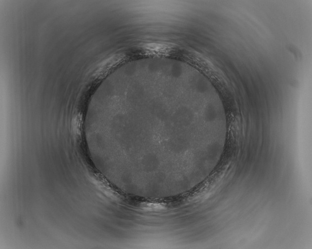 X0000112820649200908211206