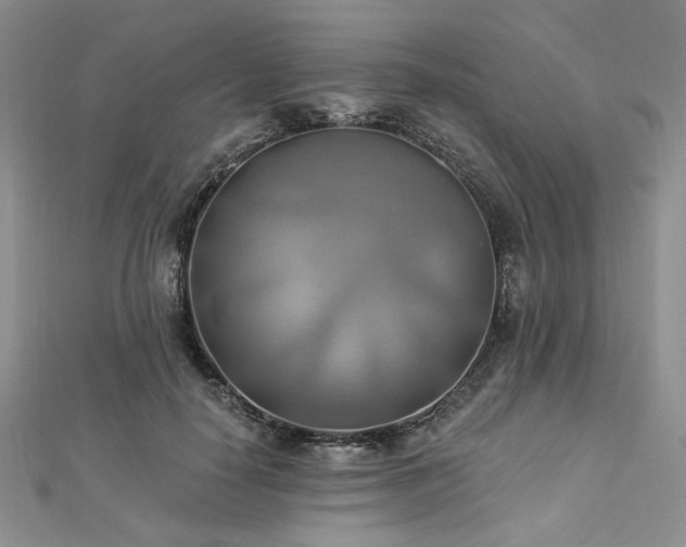 X0000112820650200908211207