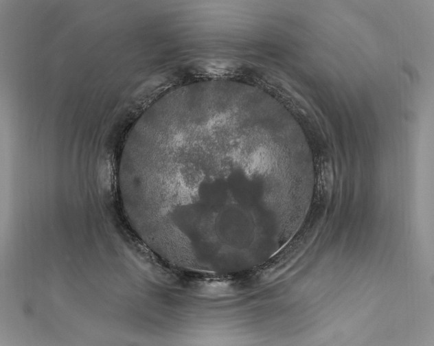 X0000112820651200908211207