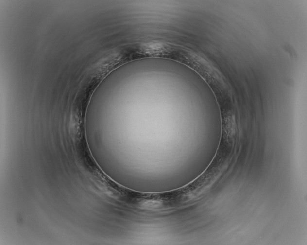 X0000112820653200908211207