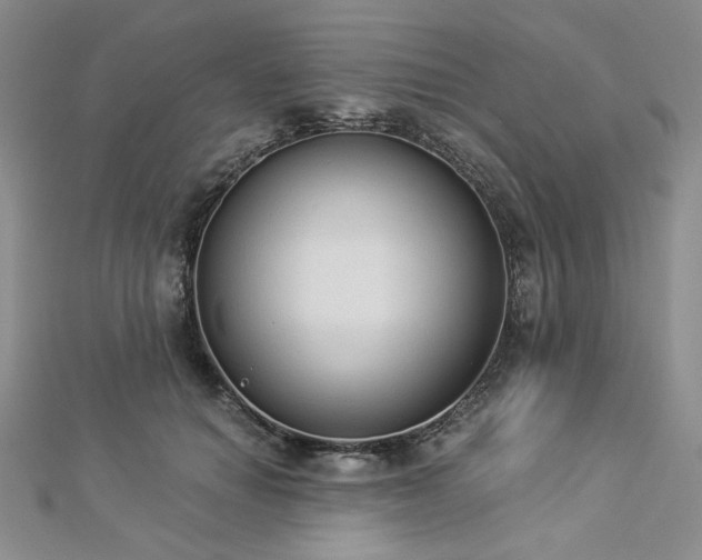 X0000112820654200908211207