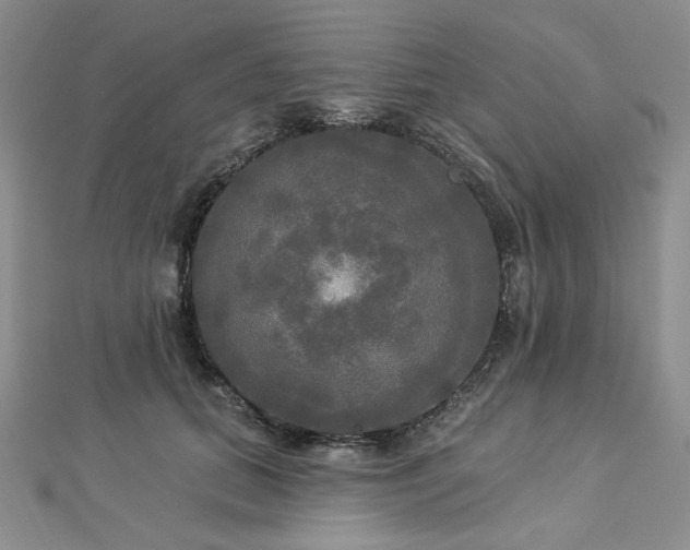 X0000112820655200908211207