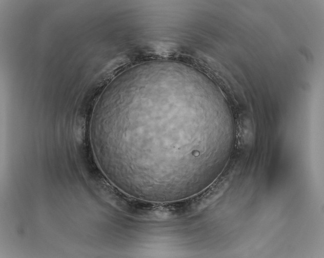 X0000112820656200908211207
