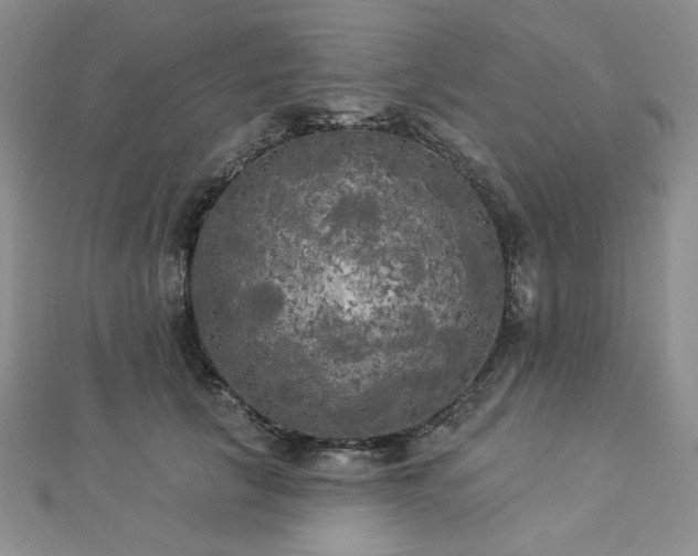 X0000112820657200908211207