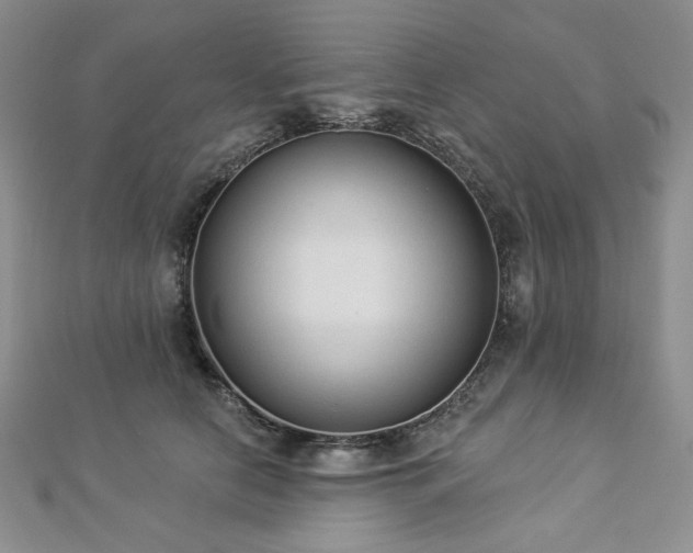 X0000112820658200908211207