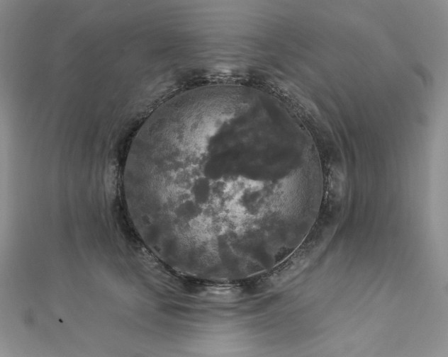 X0000112820659200908211207