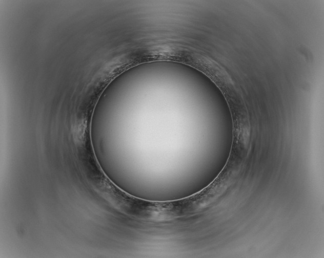 X0000112820660200908211207
