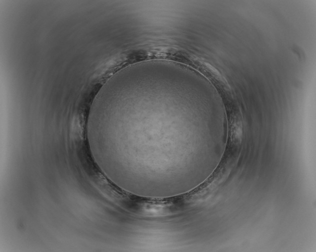 X0000112820661200908211207