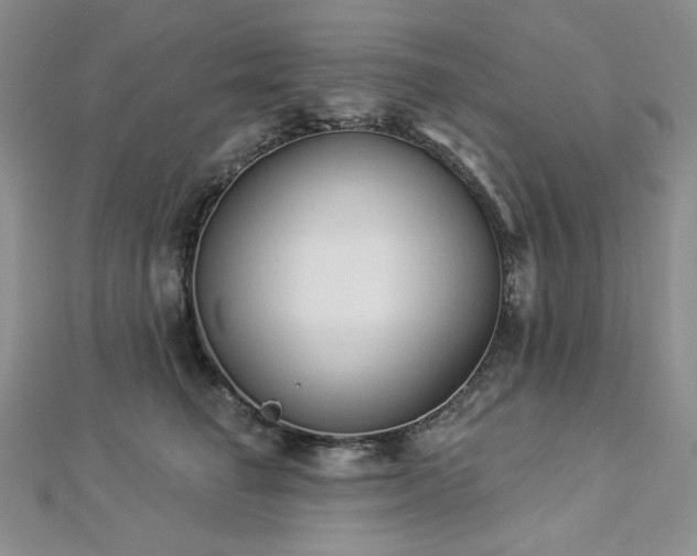 X0000112820662200908211207