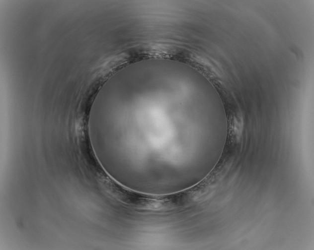 X0000112820663200908211207