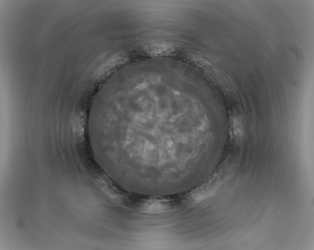 X0000112820664200908211207