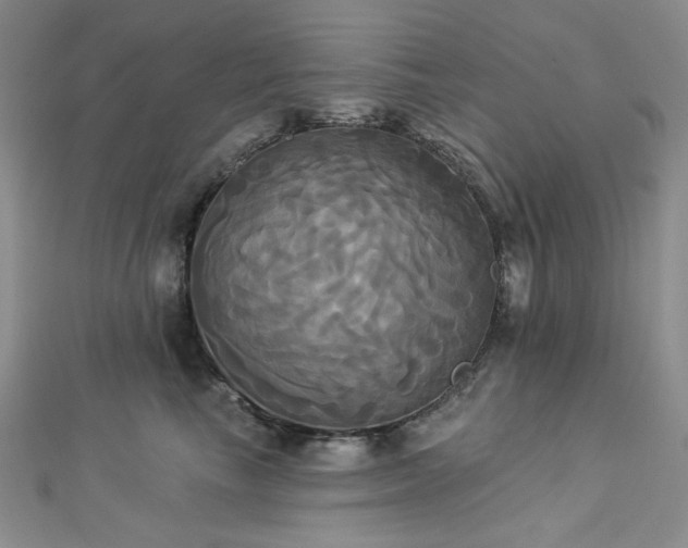X0000112820665200908211207