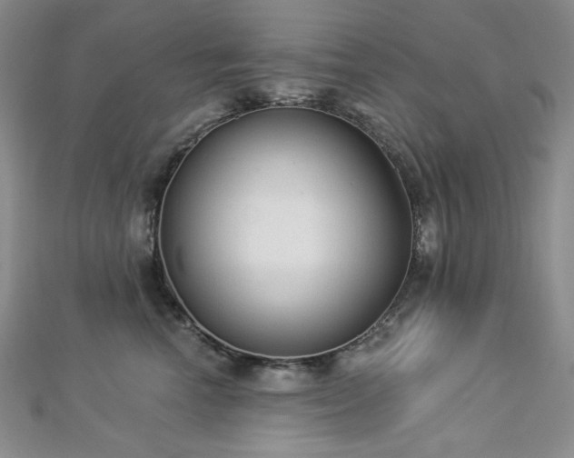 X0000112820666200908211207