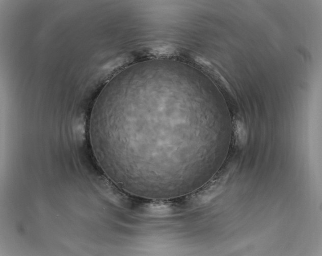 X0000112820668200908211207