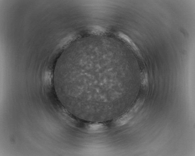 X0000112820669200908211207