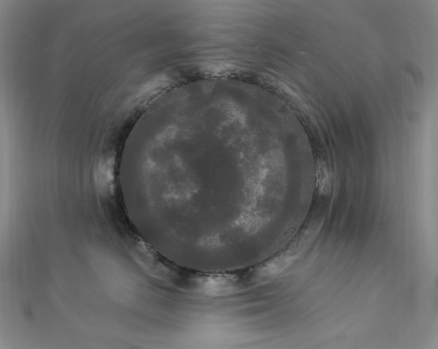 X0000112820670200908211207