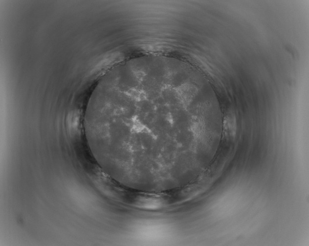 X0000112820671200908211207