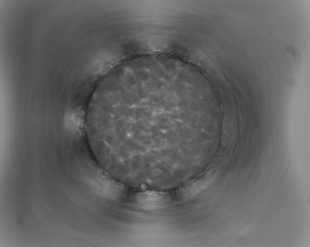 X0000112820672200908211207