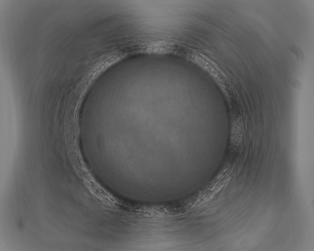 X0000112820673200908211206