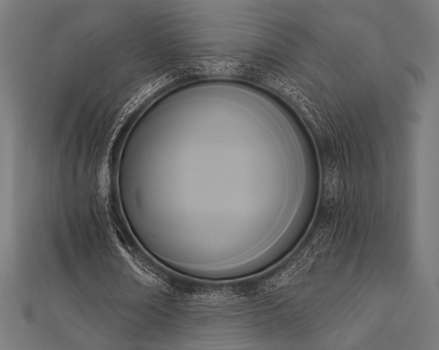 X0000112820674200908211206