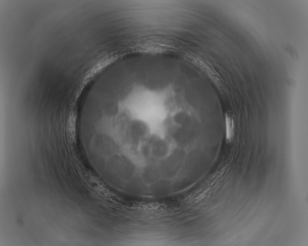 X0000112820675200908211206