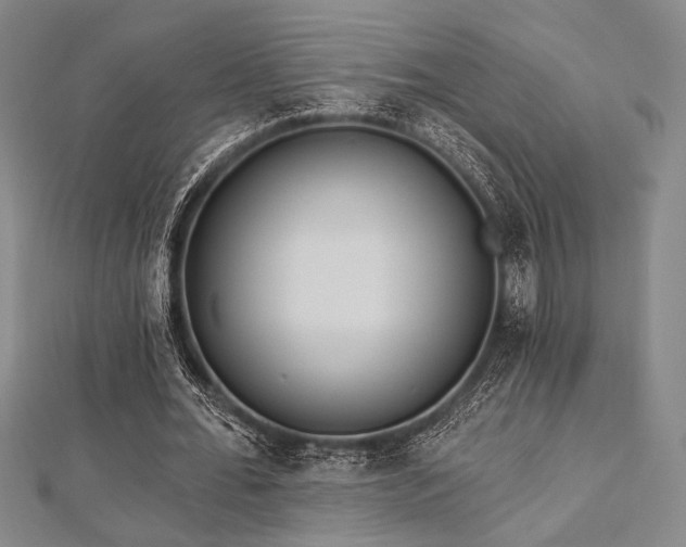 X0000112820676200908211206