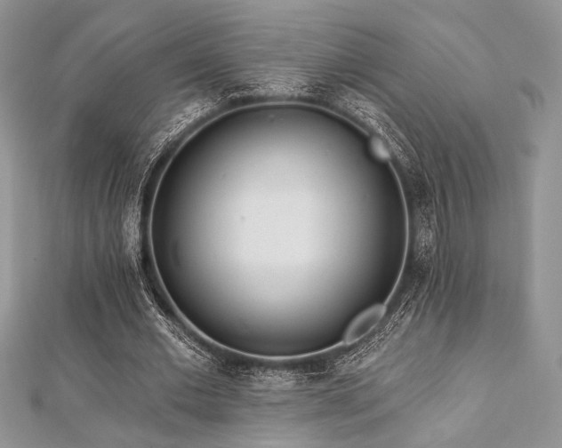 X0000112820677200908211206