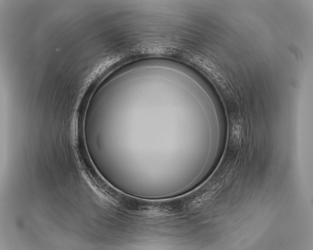 X0000112820678200908211206