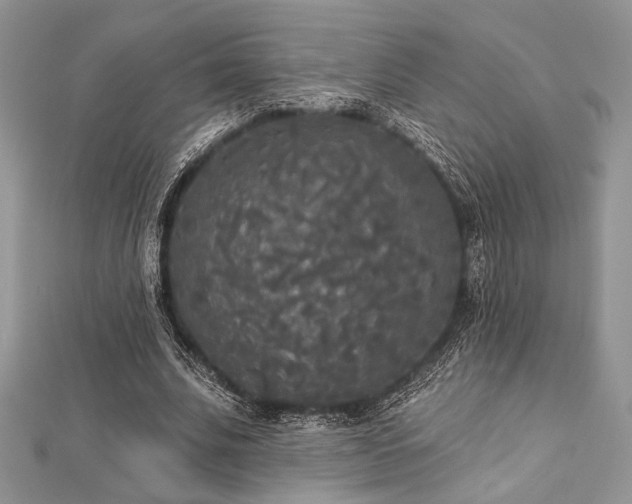 X0000112820679200908211206