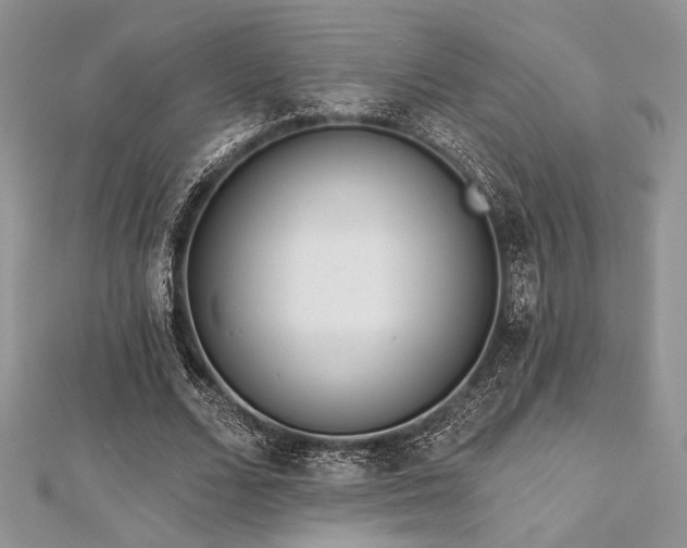 X0000112820680200908211206