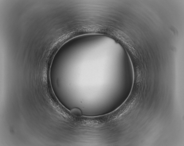 X0000112820681200908211206