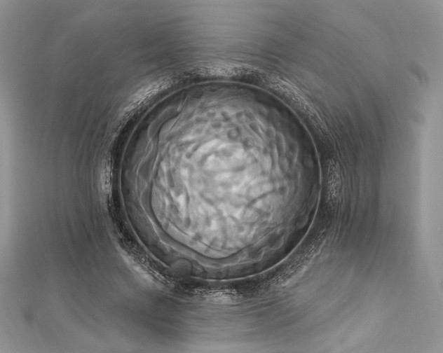 X0000112820683200908211206