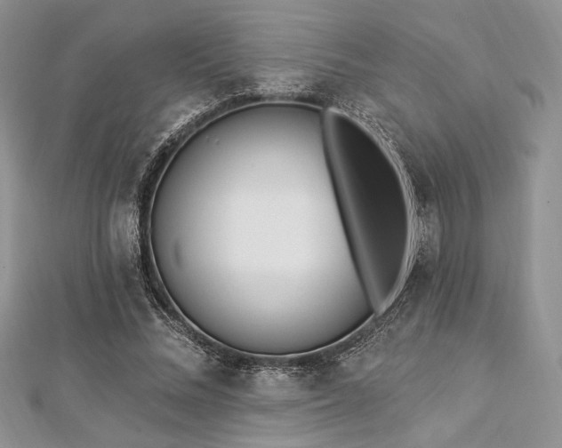 X0000112820684200908211206