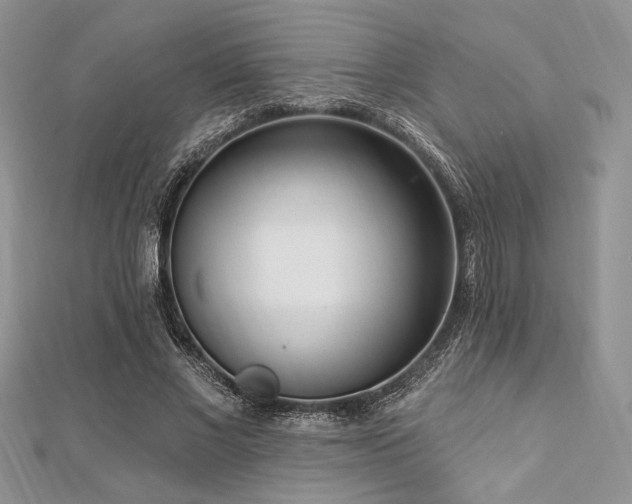 X0000112820685200908211206