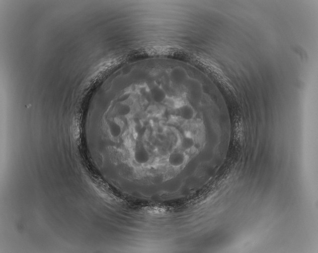 X0000112820687200908211206